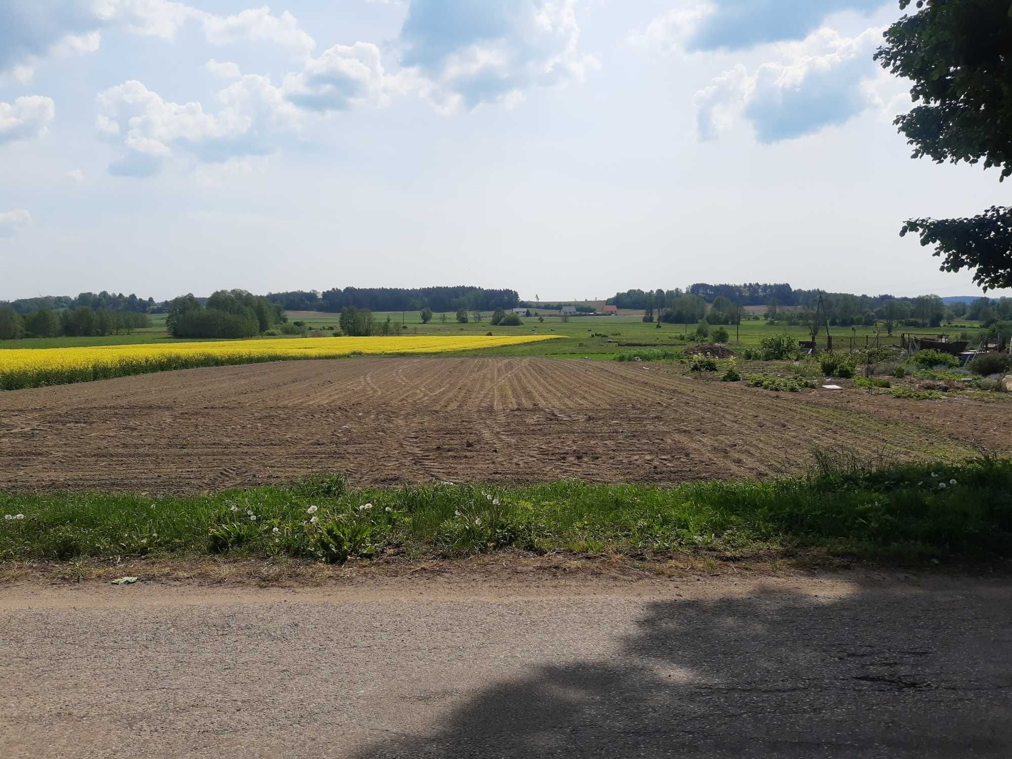 Działka Olszewo, bez pośredników