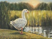 Obraz olejny 30×40 – Gęś nad jeziorem o zachodzie słońca