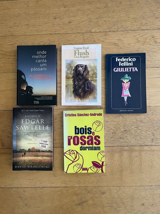 Romances em Português