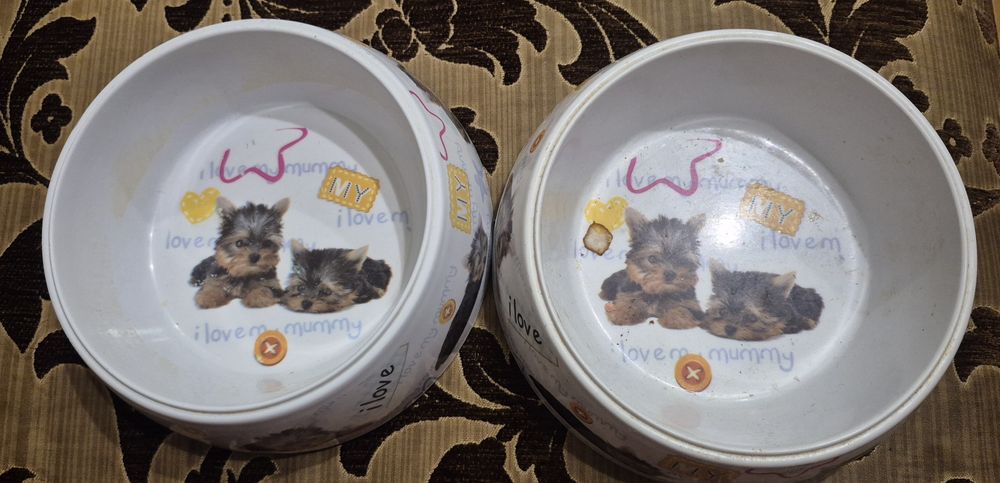 Миска для собак пластикова з зображенням цуценят йоркширського тер'єра