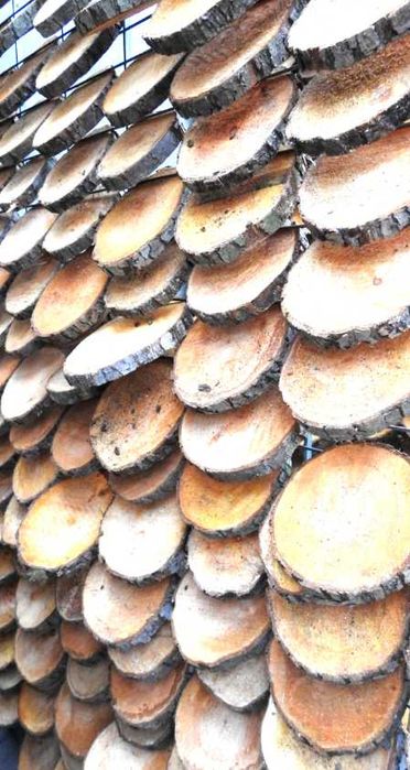 PLASTER DREWNA KRĄŻEK plastry dąb olcha brzoza grab modrzew sosna