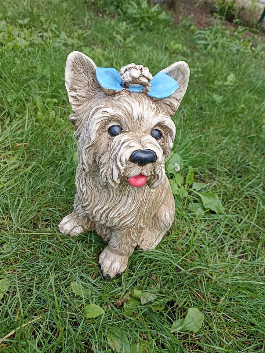 York Yorkshire Terrier z gipsu pies