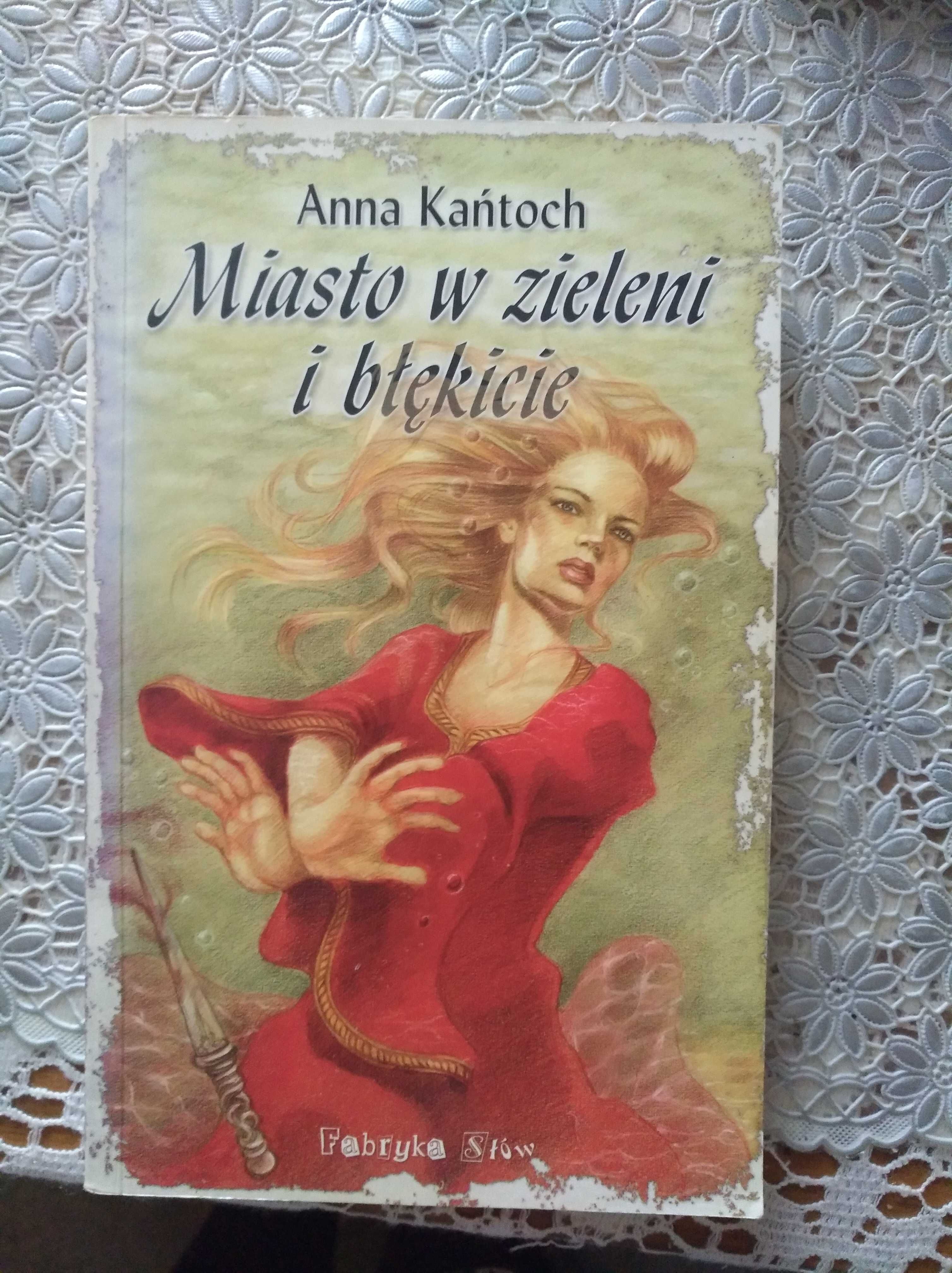 Miasto w zieleni i błękicie Anna Kańtoch