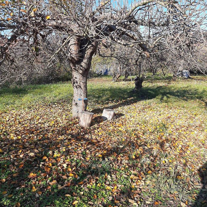 Działka budowlana 1400 m2 – ul. Witosa, Radzyń Podlaski