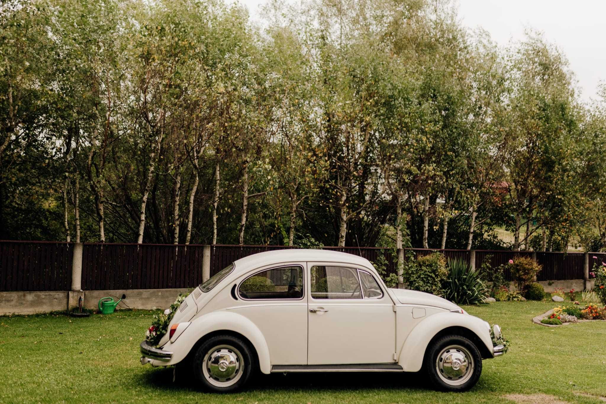 VOLKSWAGEN GARBUS do ślubu, wesela, sesja zdjęciowa, reklama