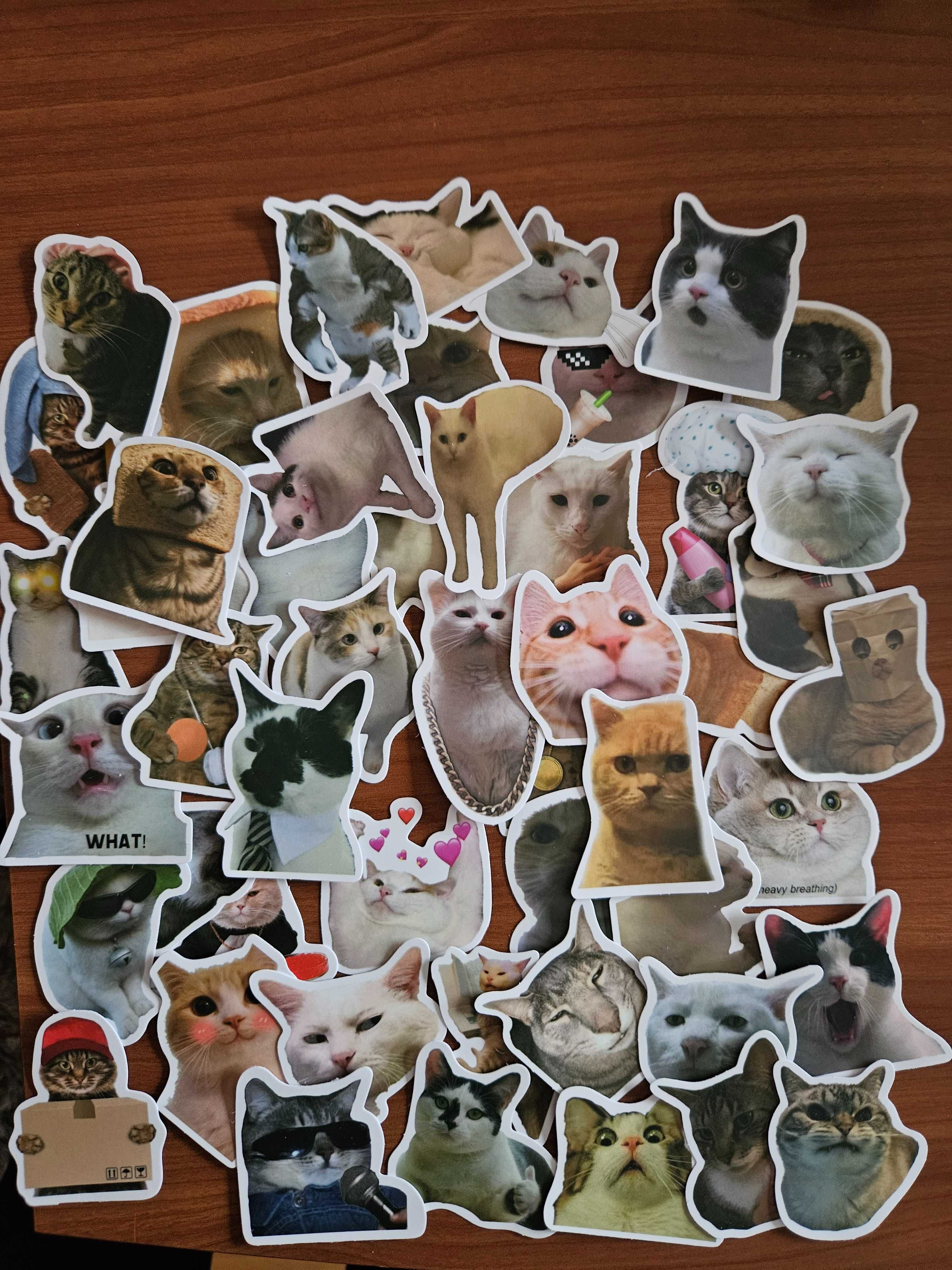 50 autocolantes stickers Gatos