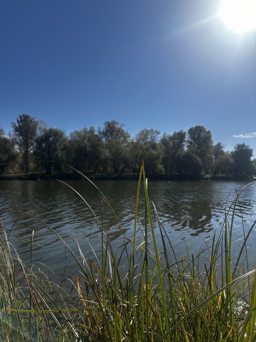 Продаж будинок с. Брусилів