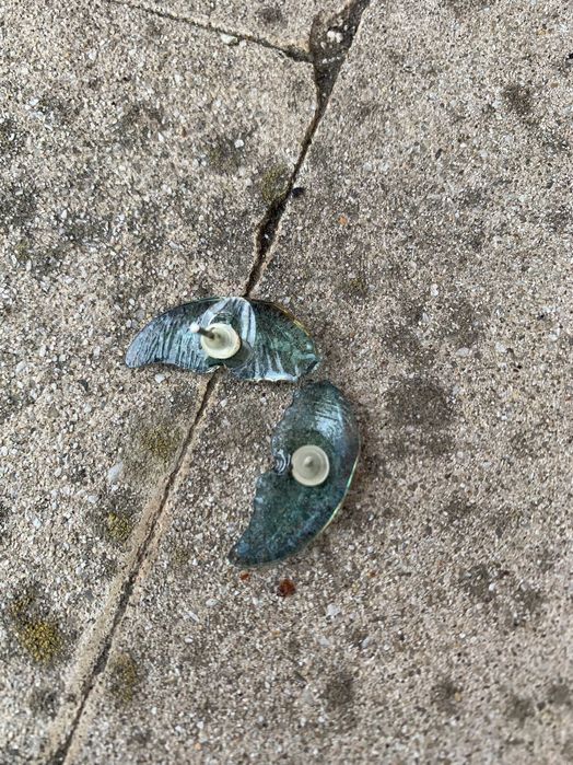 Brincos Asas de Borboleta Azul-Transparente Arte Colombiana