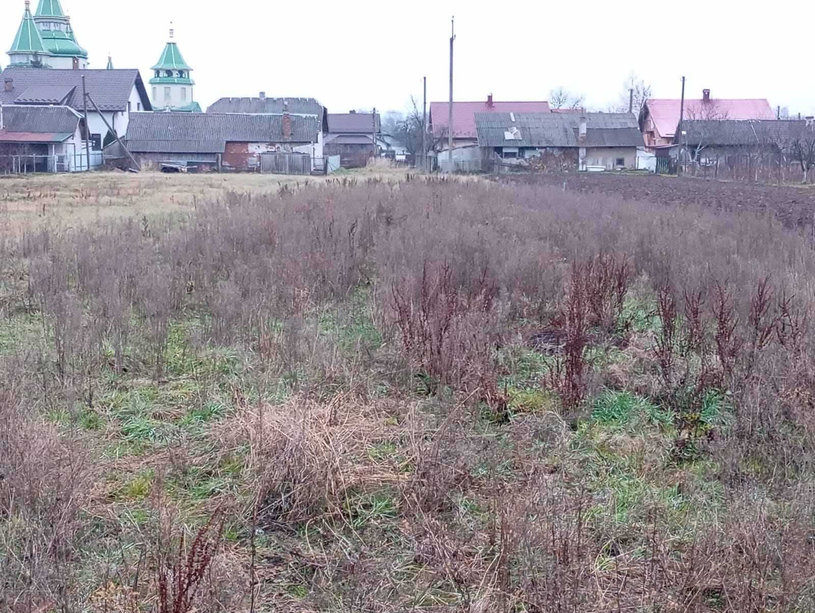 Продаж, земля в с. Радча центр. Можливий обмін на авто.