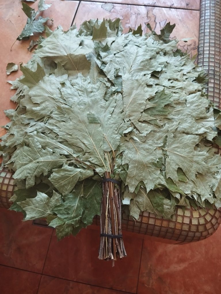 Веник дуб канадский , береза