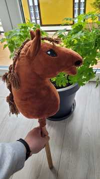Hobby horse  a4 klacz kasztanowata