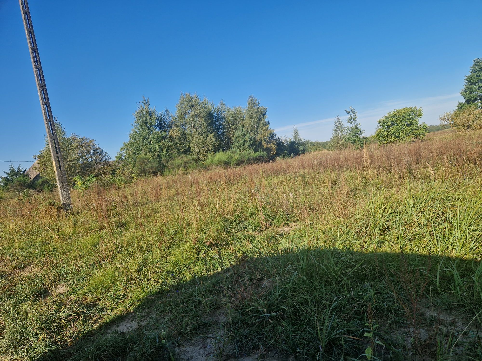 Działka budowlana 56ar Starczewo Grąsy gm.Dobiegniew