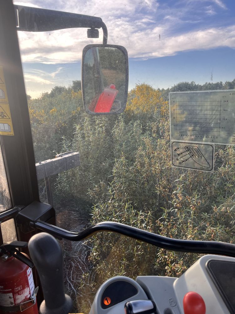 Prestação de servicos agricolas, florestais e jardinagem
