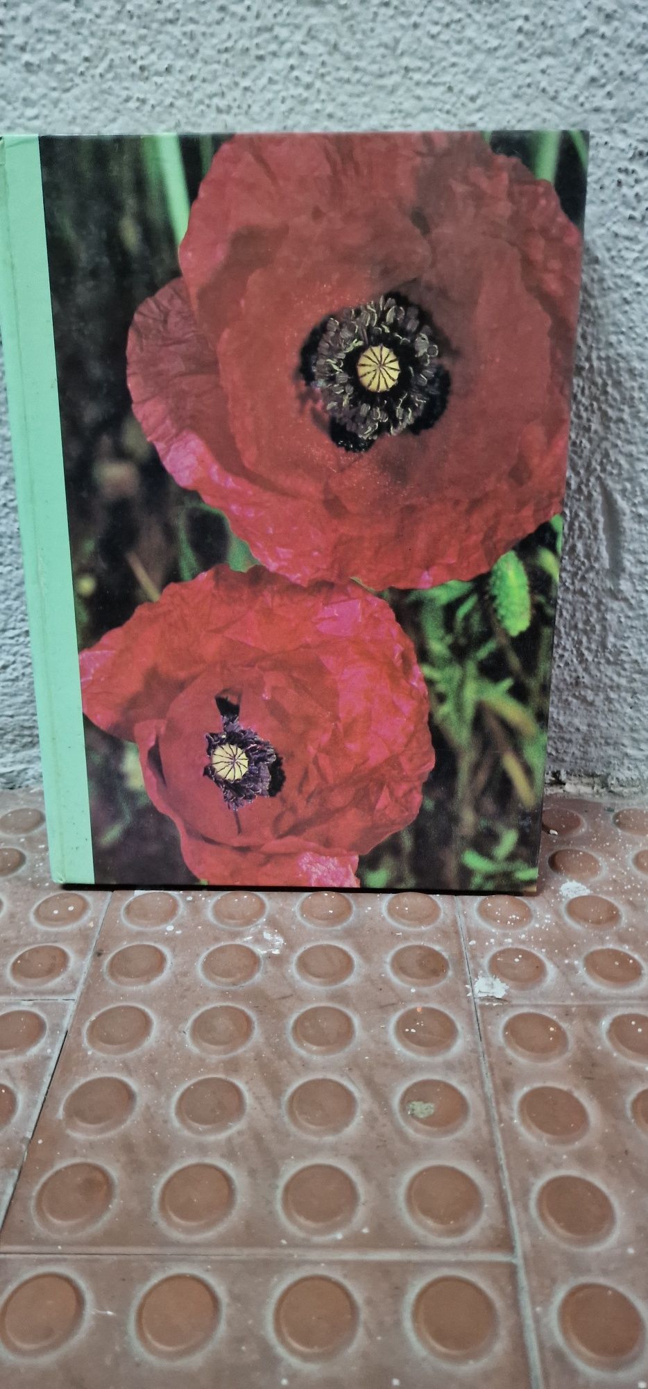 Enciclopédia das plantas