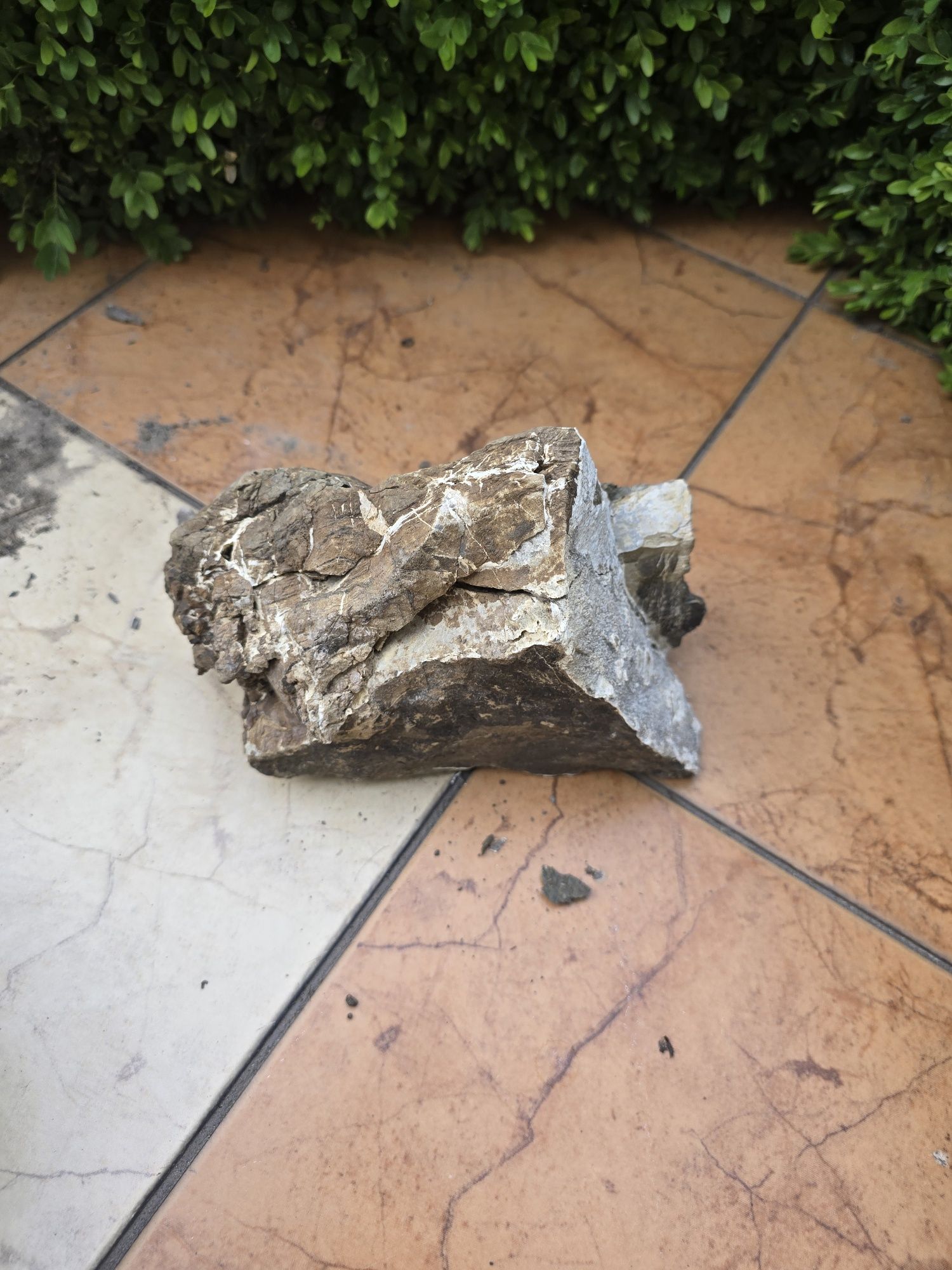 Ada Frodo Stone 2.35kg Kamień akwarystyczny