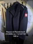 Płaszcz sił Powietrznych