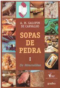 11063

Sopas de Pedra I - De Mineralibus
de A. M. Galopim de Carvalho