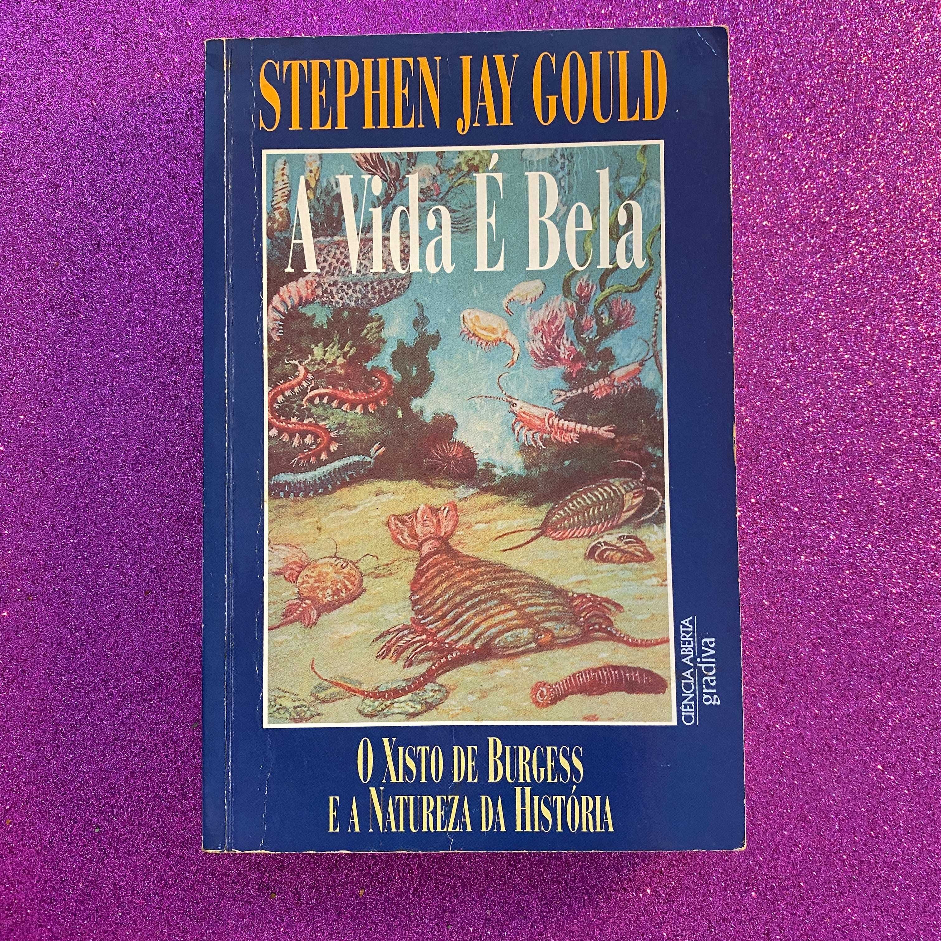 A Vida é Bela - Stephen Jay Gould (portes incluídos)