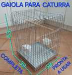 GAIOLA COMPLETA,AVES,CATURRA. Casa,Varanda,Quarto,Garagem,Quintal.