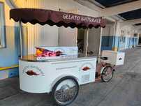 Riksza z lodami, wózek, rower, 14 kuwet Gelato Naturale JG Gastro