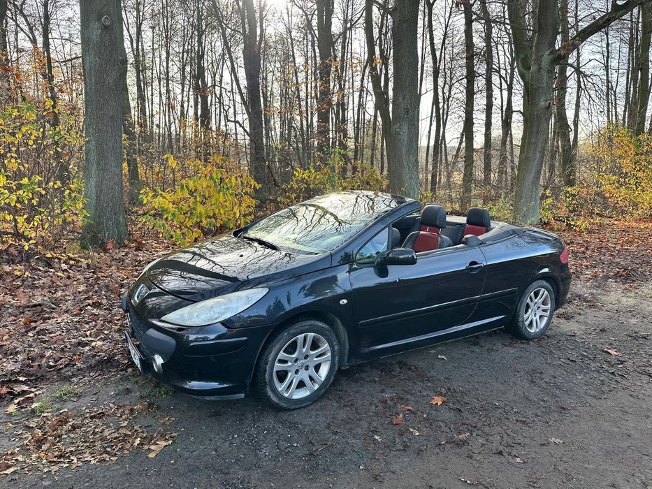 Peugeot 307 CC. Kabriolet