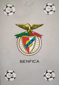Autógrafos de craques do S. L. e Benfica