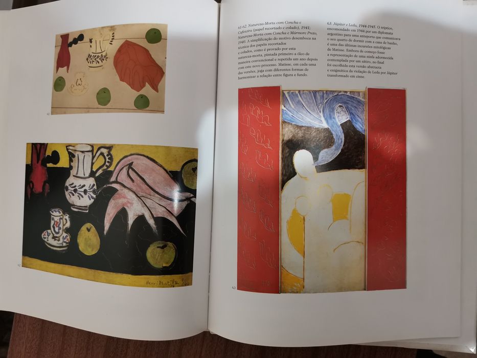 Livro Grandes Pintores do Século XX – Matisse