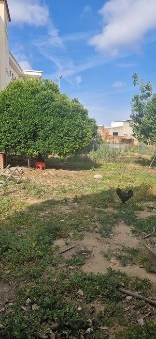 oportunidade para investidores