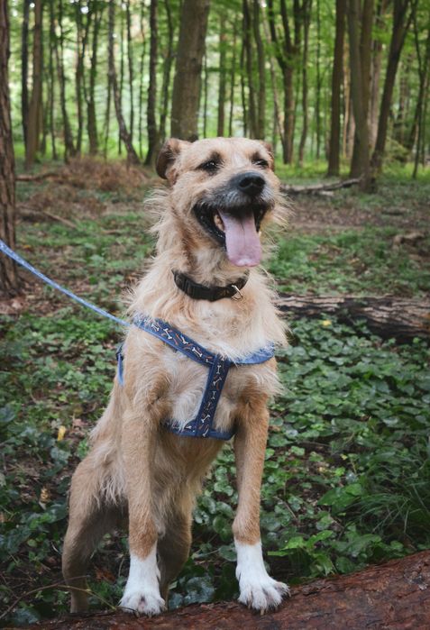 Borys tak długo czeka
