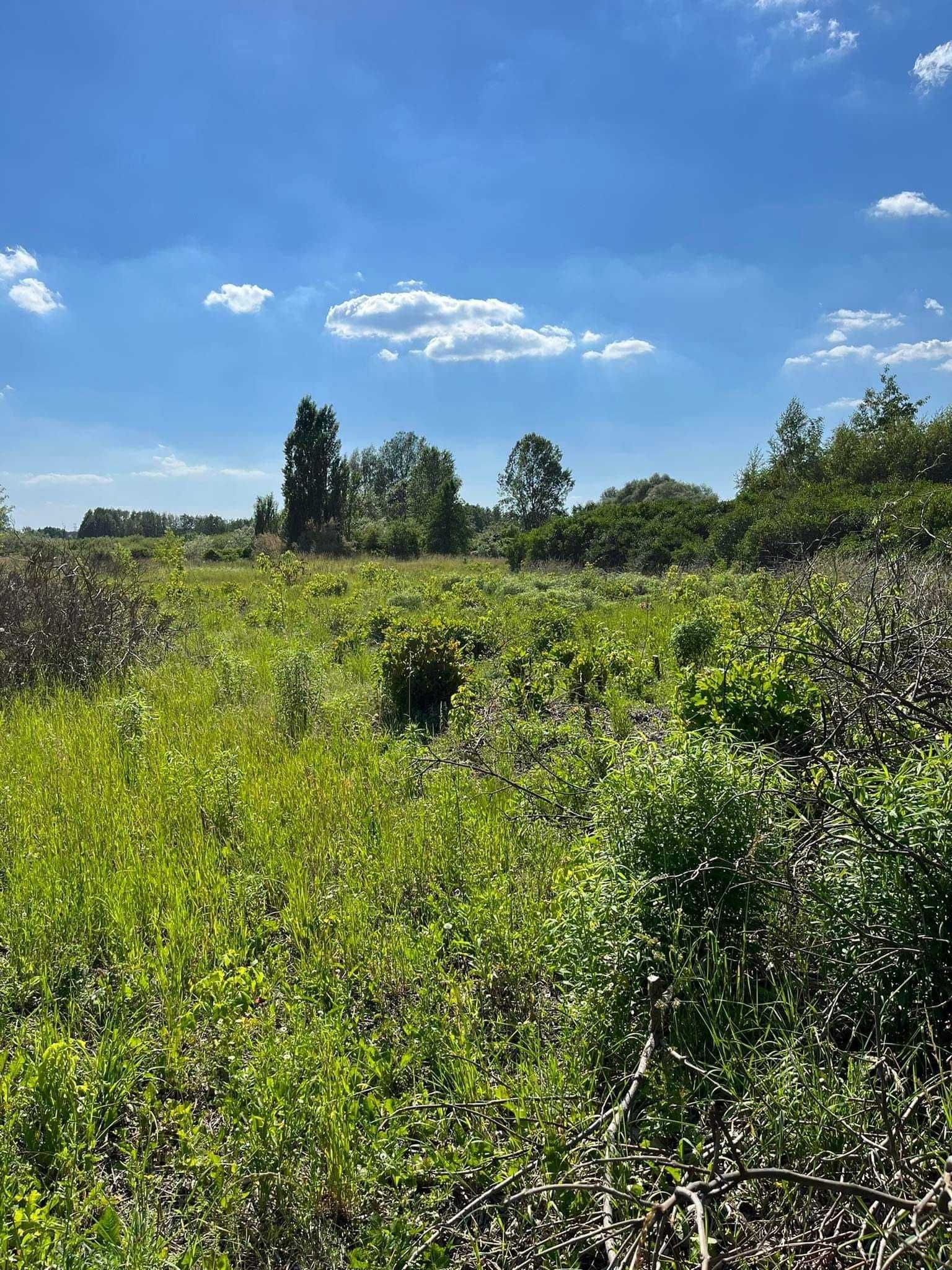 Wycinka sadów, rekultywacja terenów, Mulczer wgłębny, usługi rębakiem