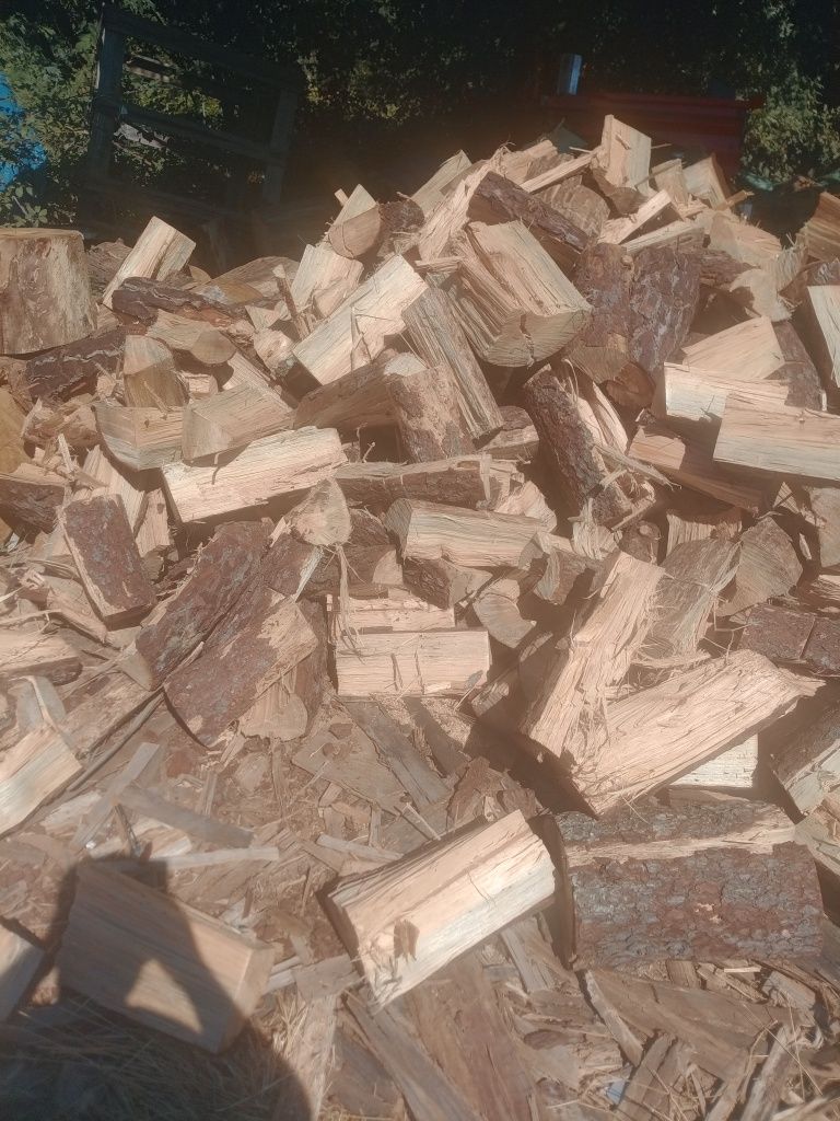 Vendo lenha seca de pinho