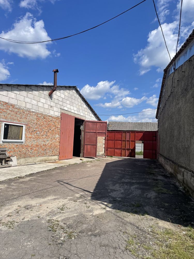 Оренда  та продаж складських приміщень с. Сінгури