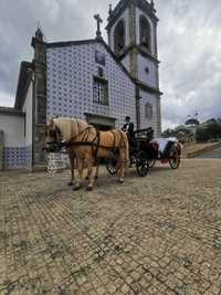 Eventos com charrete de cavalos