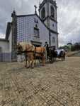 Eventos com charrete de cavalos