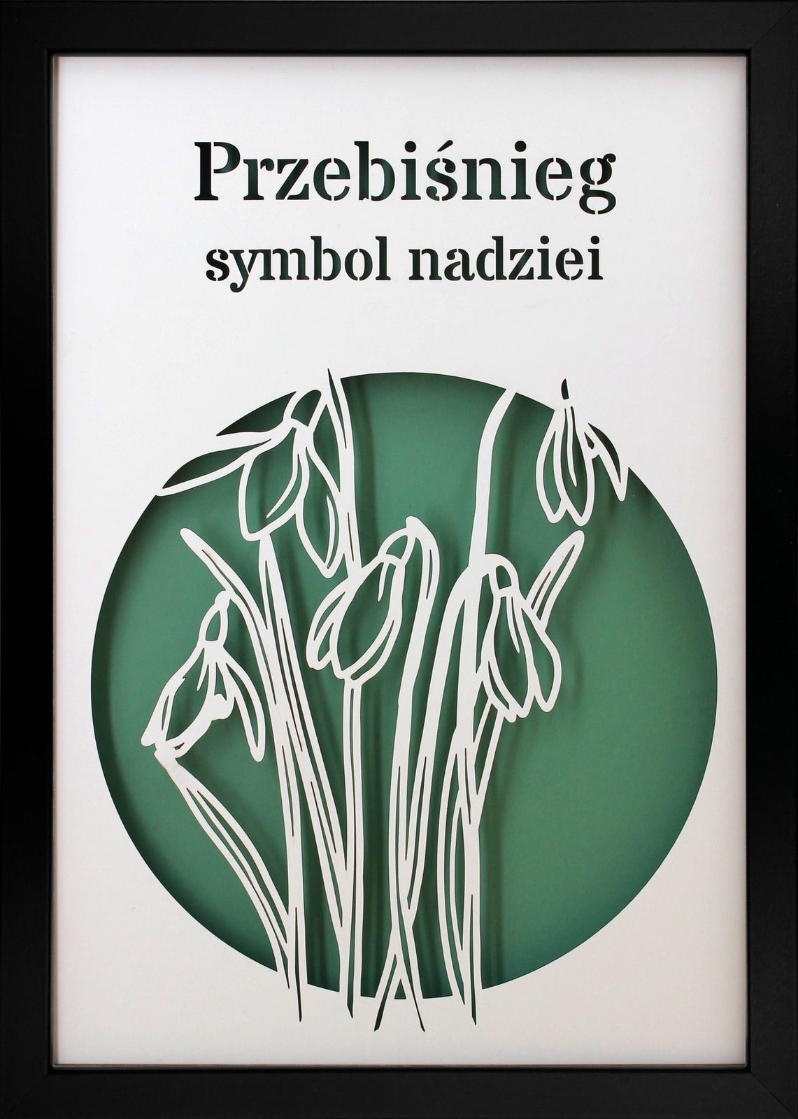 Ramka 3D Shadow Box Przebiśnieg