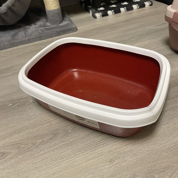 Лоток для кота та іграшка