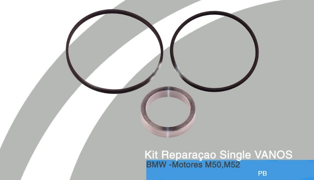 Kit Reparação Single VANOS NOVO p/BMW M50,M52
