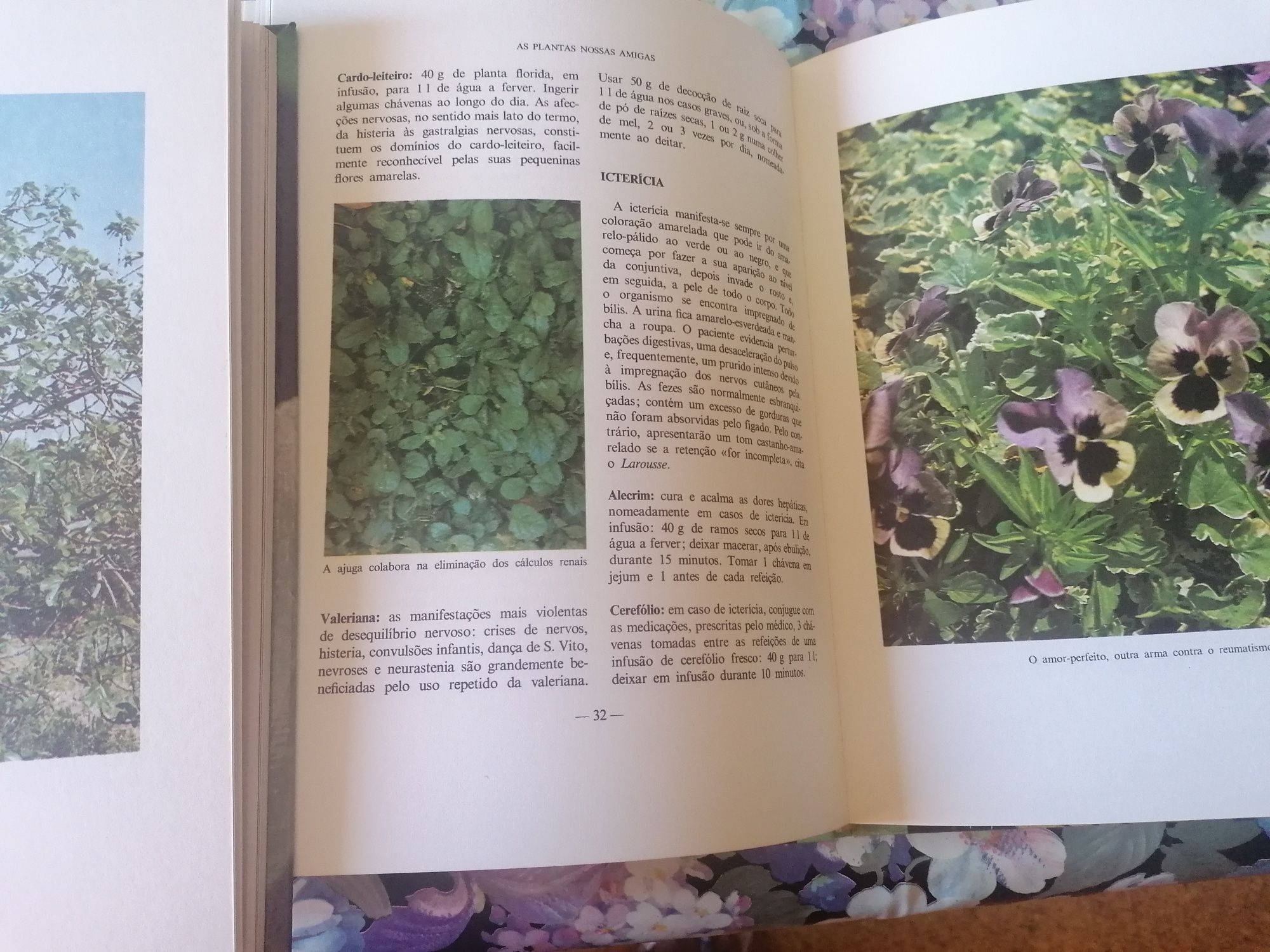 BAIXA-Livros sobre plantas tipo enciclopédia.