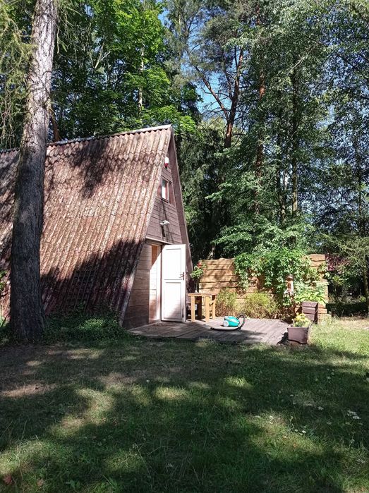 Działka rekreacyjna nad Wkrą