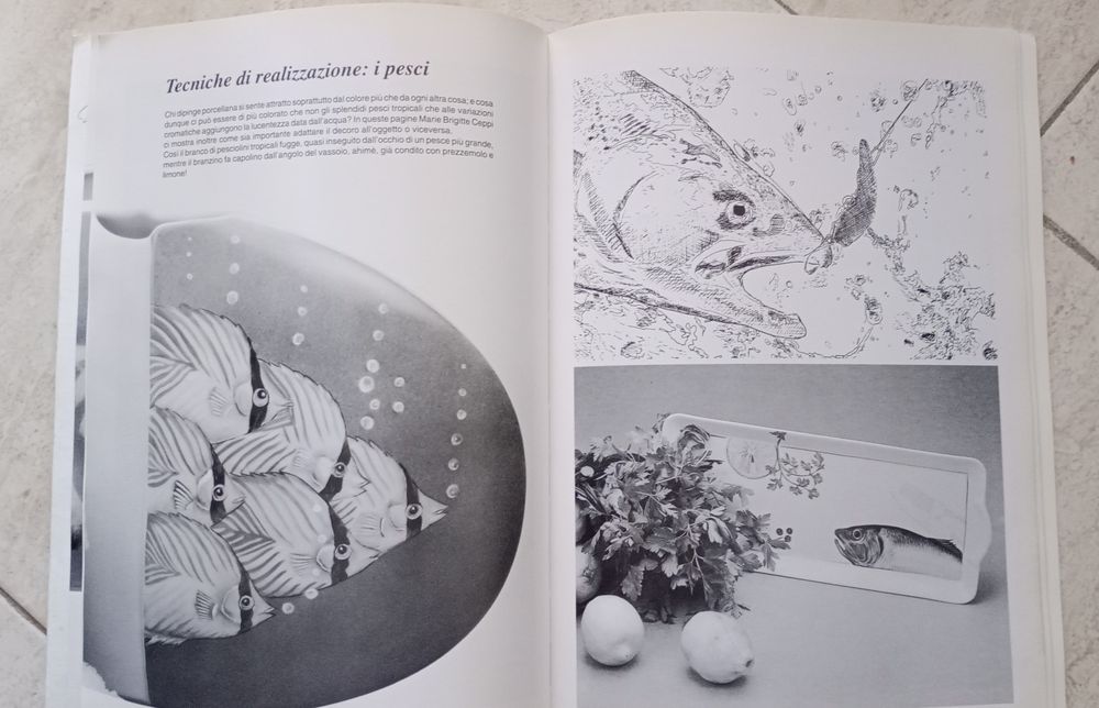 Livro de pintura em cerâmica "Fantasie di animal"i
