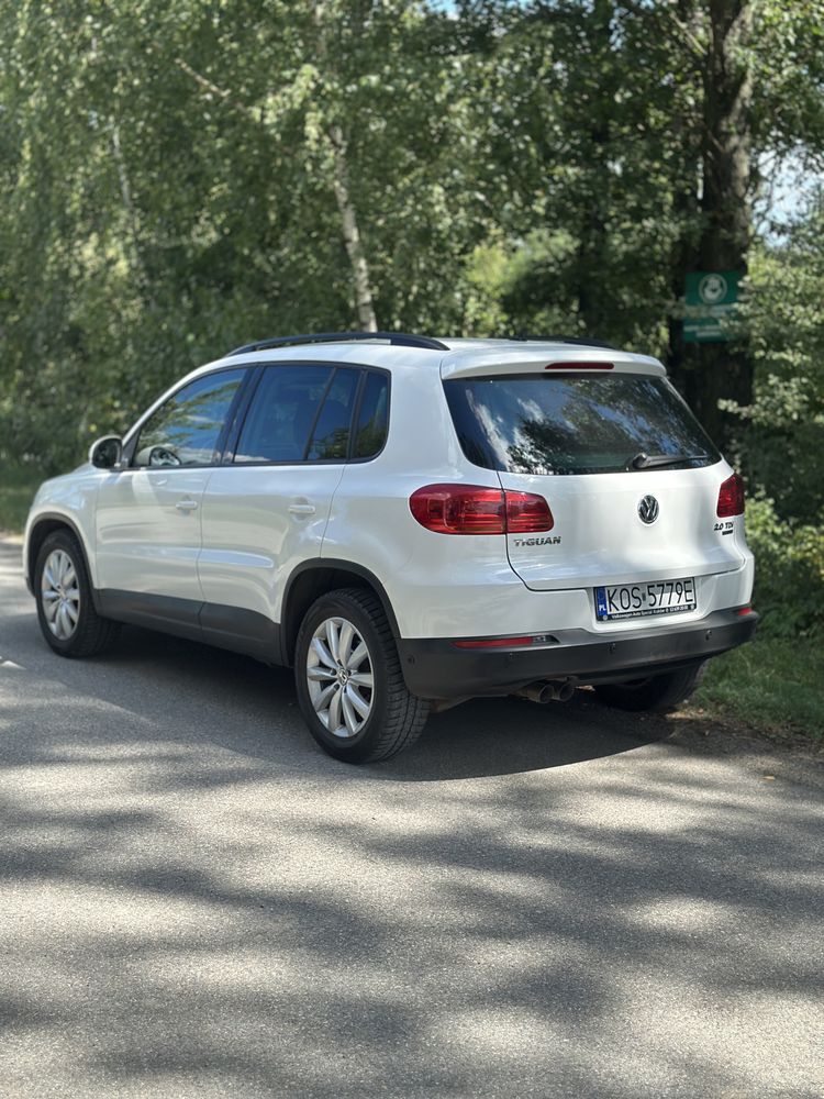 Wv Tiguan salon pl