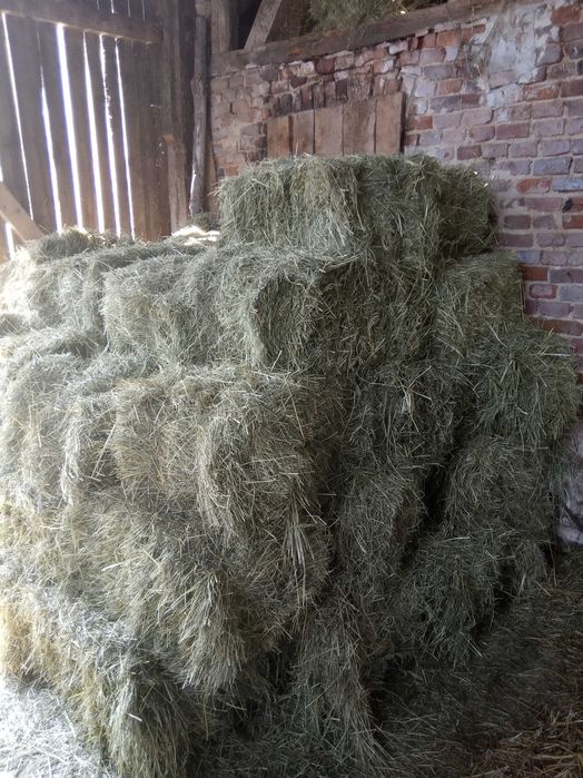 Sprzedam siano w kostkach
