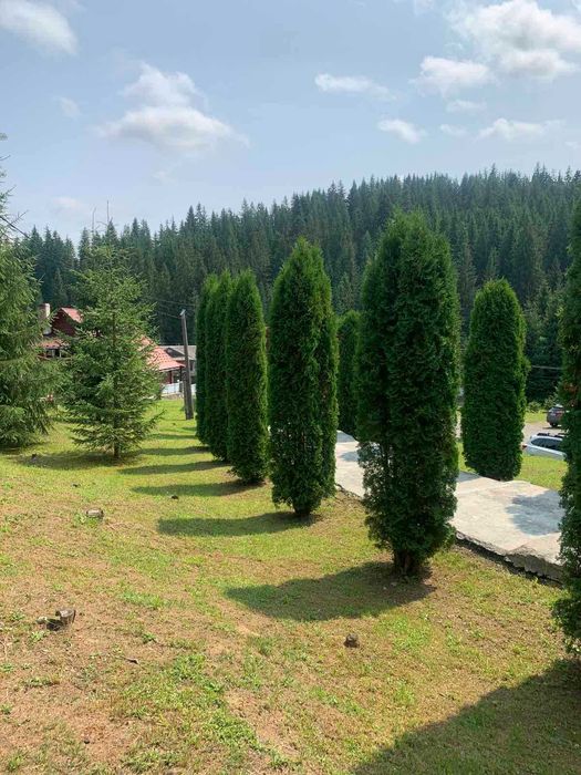 Продам базу відпочинку "Черес", Яблуниця, Карпати.