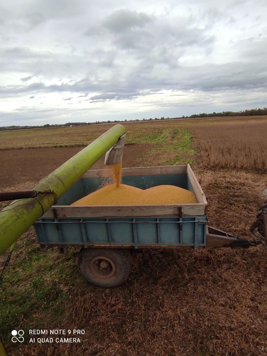 Продам комбайн КЛАС МЕРКАТОР 70