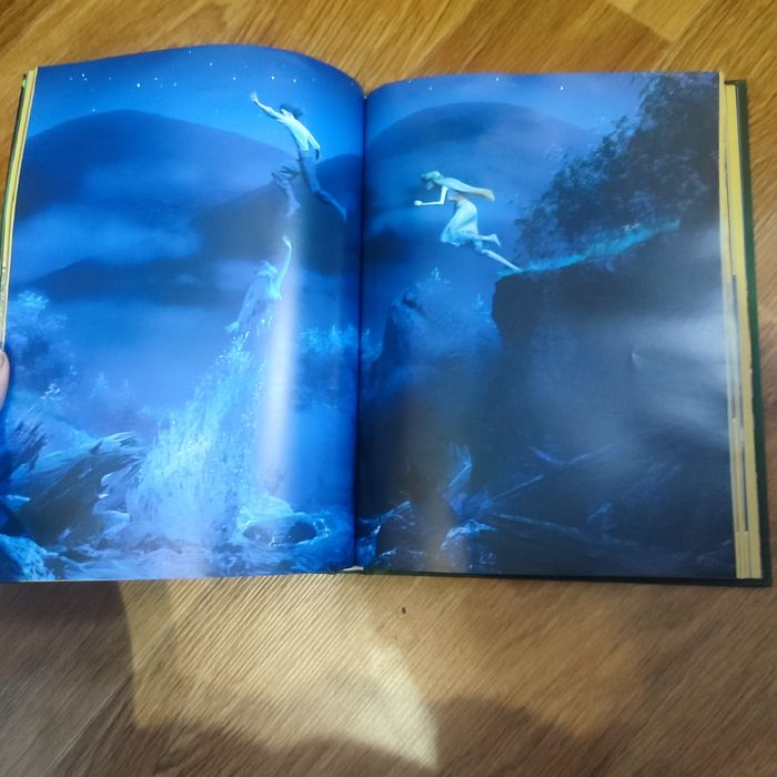 Мавка берегиня лісу. Книга.