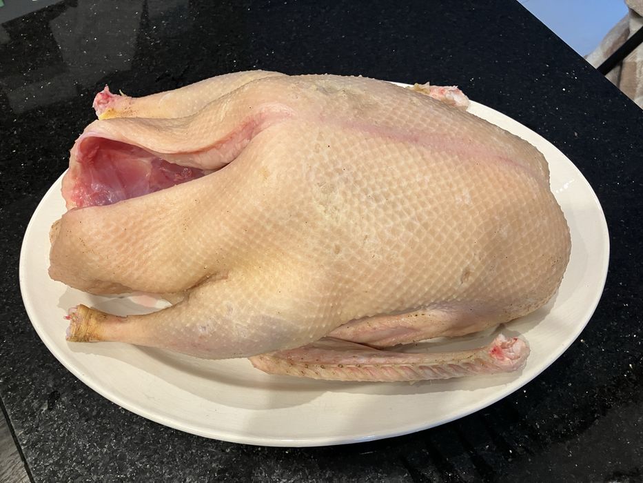 Tuszki gęsi kołudzkiej i kaczki