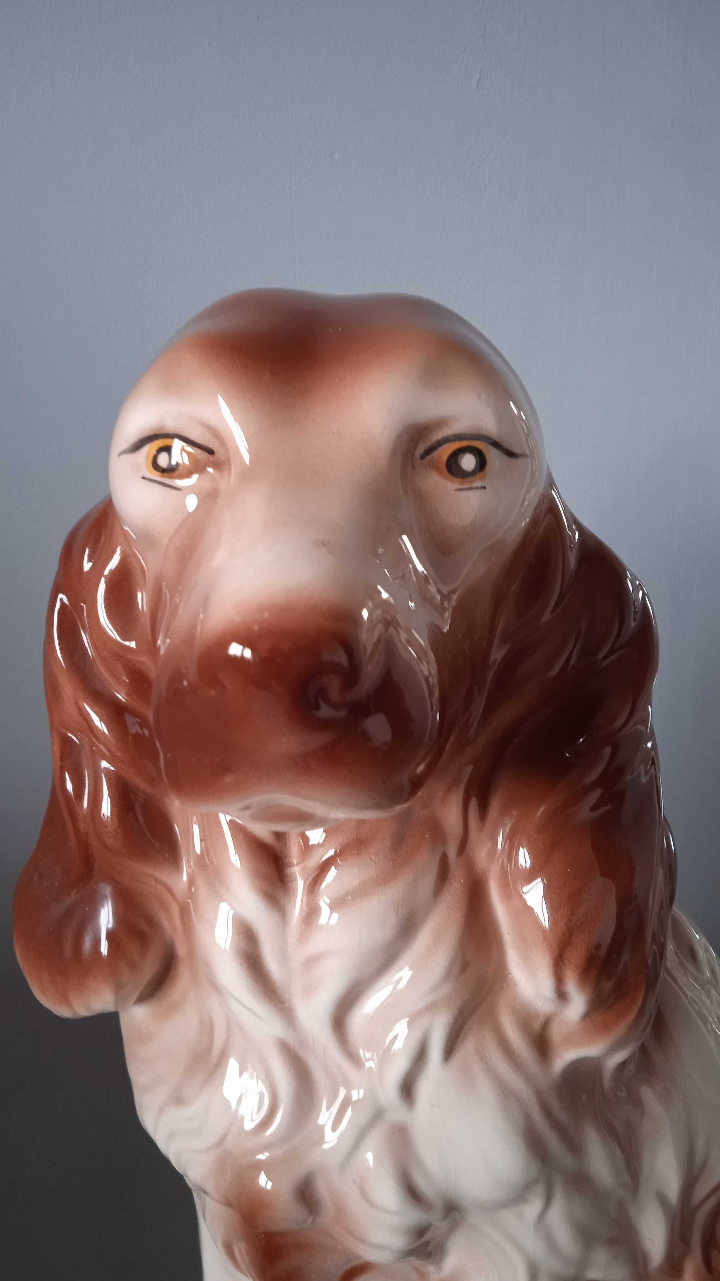 Figurka porcelanowa Cocker spaniel angielski duży