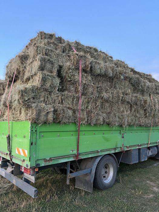 Продам сіно, сено в тюках, люцерна, Оттава!