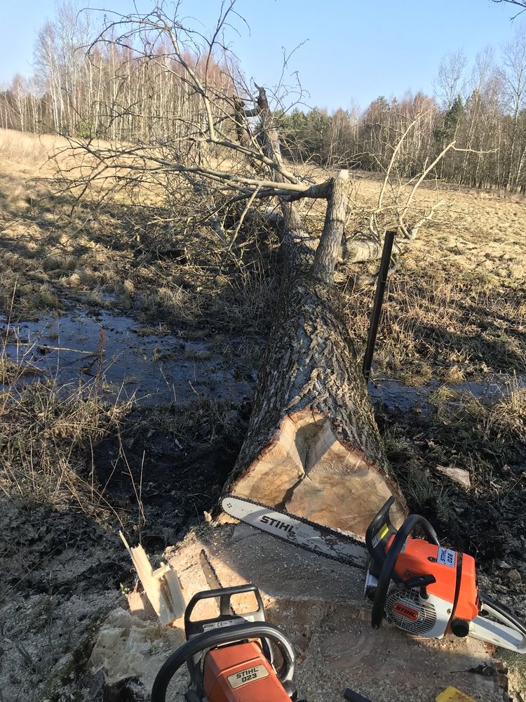 WYCINKA DRZEW, zrębkowanie gałęzi/zwyżka/mulczer/biomasa/karczowanie