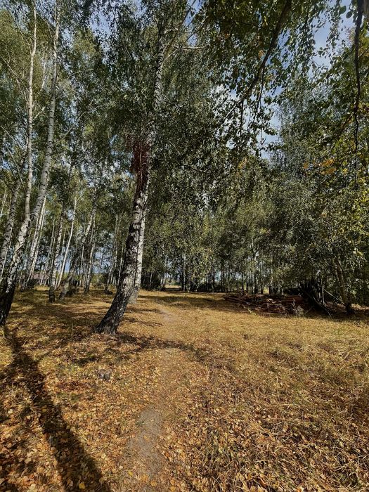 Продаж двоповерхового будинку